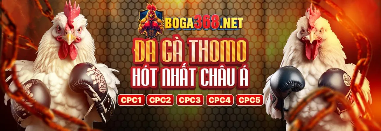 Đá Gà EV88COM – Trải Nghiệm Cược Đỉnh Cao 2026